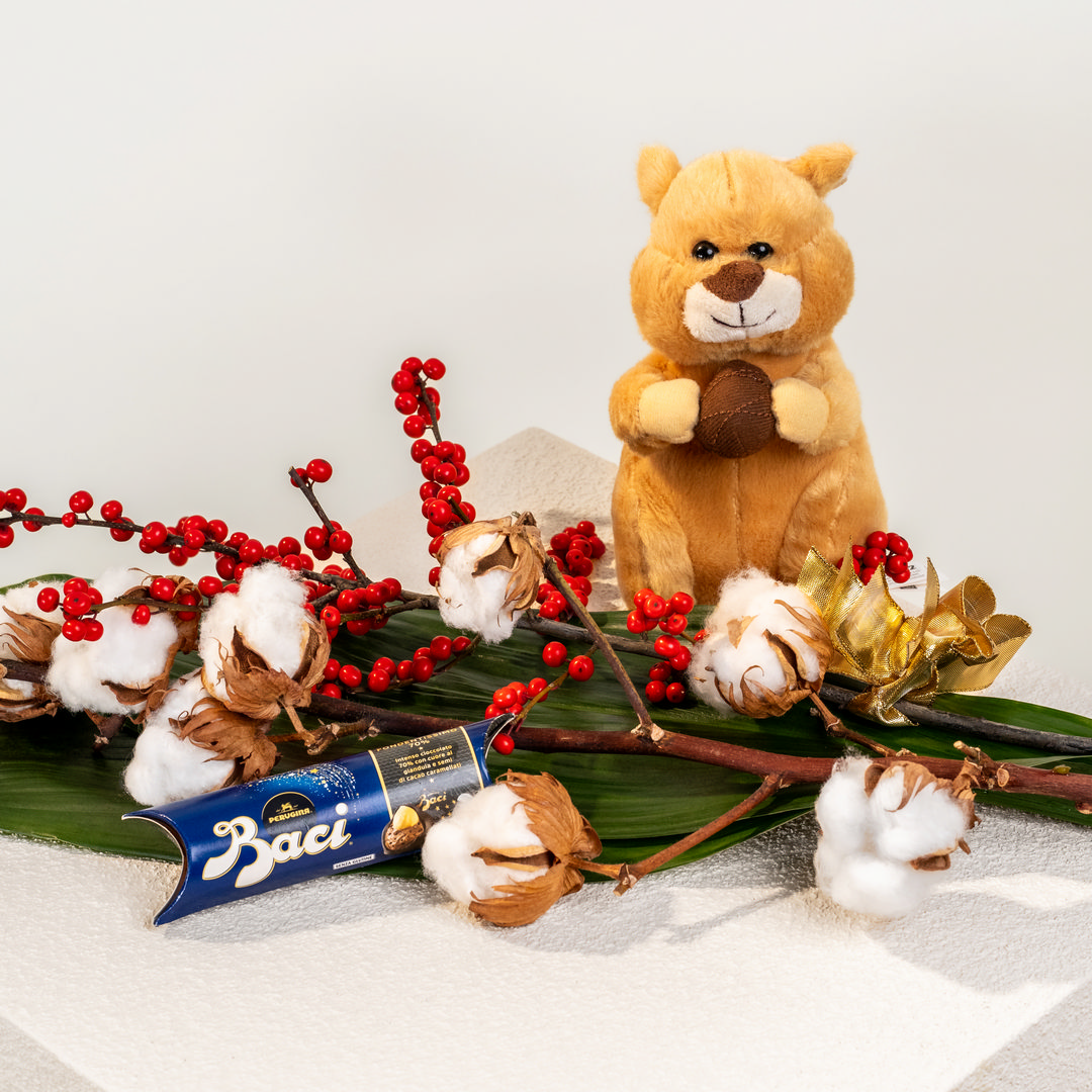 Bacche-cotone-con-Ilex-baci-peluches 