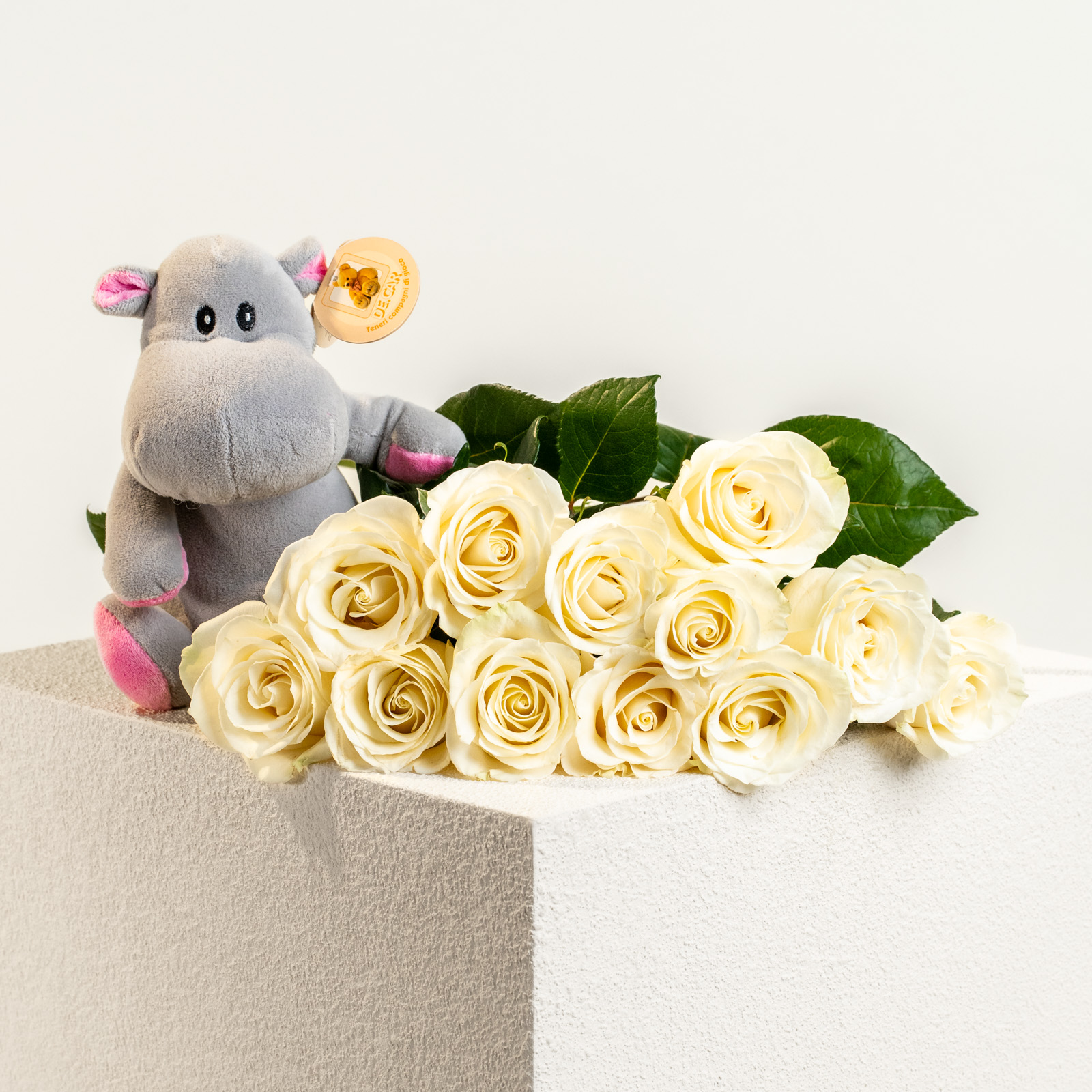 Dozzina-di-rose-bianche-Ippo