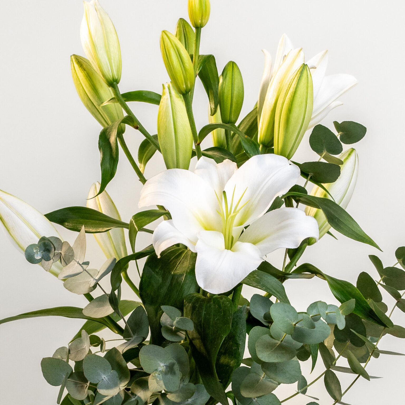 Mazzo-Lilium-bianchi