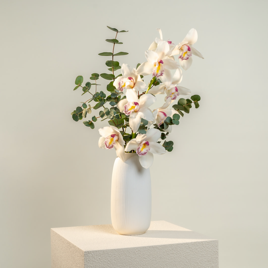 Rami-fioriti-orchidea-cymbidium